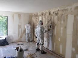 Best Asbestos and Lead Testing During Mold Inspection  in Clear Lake, WI